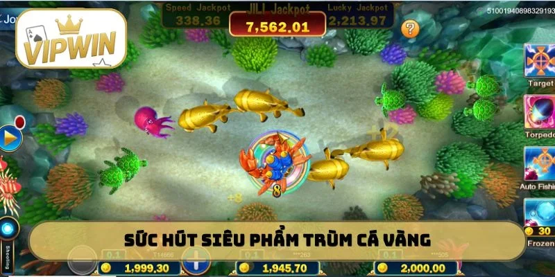Sức hút siêu phẩm Trùm cá vàng